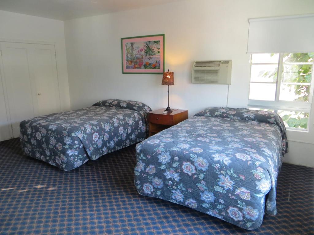 Alamo Hotel Miami Beach Pokój zdjęcie